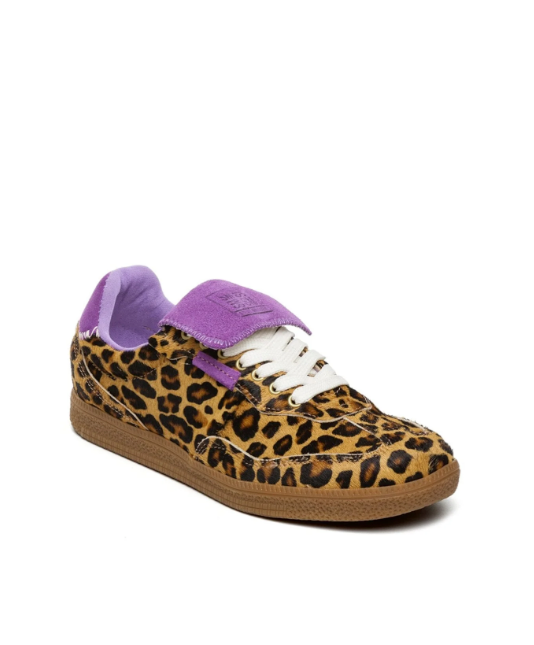 Leo sneaks - Leo/Purple - Ethora-L - Steve madden